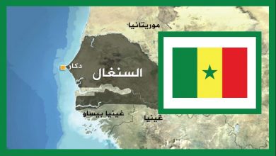 شركة تونسیة في السنغال تنتدب : الرواتب بین 2500 و 4000 أورو، تذاكر طائرة كل 3 أشھر، سكن مجاني التفاصیل