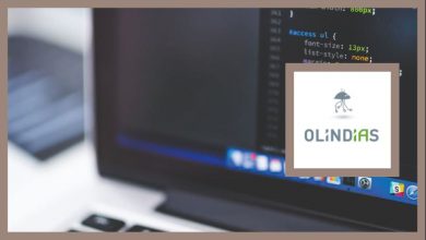 Olindias recrute des Stagiaires