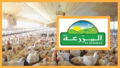 P0147 المزرعة تعتزم إنتداب أعوان واطارات