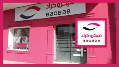 P0151 شركة قروض صغرى تنتدب في عديد الإختصاصات