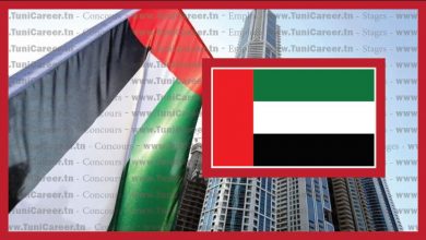 P0195 فرص عمل للتونسيين بالامارات في التدريس