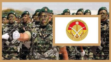 P0261 إنتداب تلامذة ضباط صف مباشرين لفائدة جيش الطيران