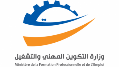 آلية التكوين التكميلي والتأهيل لإعادة الإدماج المهني